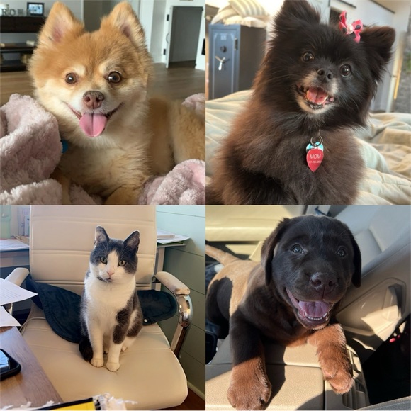 Meet your Posher, Shar - Picture 6 of 6